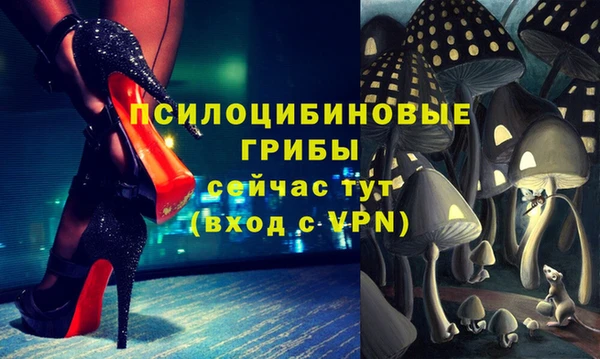 не бодяженный Козельск