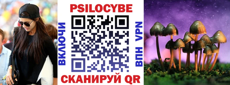 Псилоцибиновые грибы Psilocybine cubensis  Новоузенск 